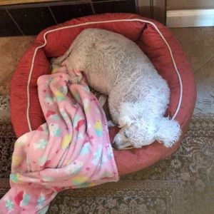 Meet your Posher, Rhanda